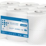 PAPIER TOALETOWY, 100% CELUL.100M,OP.12 R