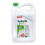 LUDWIK PŁYN D/NACZYŃ 5L MIĘTA