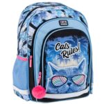 PLECAK CAT RULES STK PB 1/12