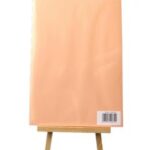 PAPIER KSERO A4  KOLOROWY 80g 100ark LOSOS