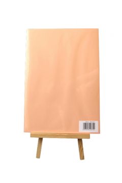 PAPIER KSERO A4 KOLOROWY 80g 100ark LOSOS