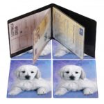 OKŁADKA NA DOKUMENTY UCZNIA PION PUPPY