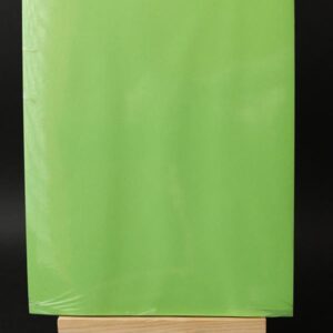 PAPIER KSERO A4  KOLOROWY 80g 100ark ZIELONY