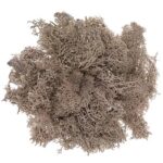 MECH BRĄZOWY, 30G