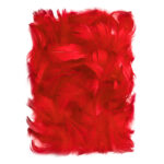 PIÓRKA 5-12 CM, 10 G CZERWONE