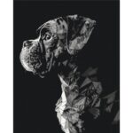 MALOWANIE PO NUMERACH 40x50mm DOG