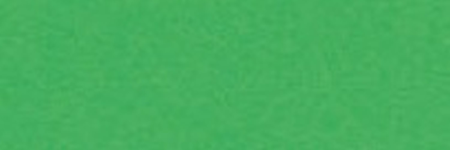 PAPIER TECHNICZNY A4 170g BRYSTOL ZIELONY 25szt