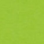 PAPIER TECHNICZNY A4 170g BRYSTOL J ZIELONY 25szt