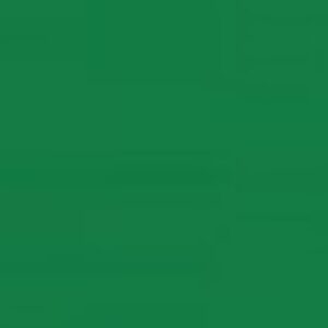 PAPIER TECHNICZNY A4 170g BRYSTOL C ZIELONY 25szt