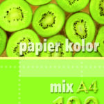 PAPIER KSERO MIX 5 KOLORÓW A4 80g 100ark KRESKA