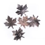 LIŚCIE KLONU Z KORY, 5 SZT.