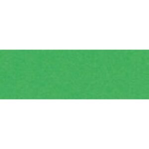 PAPIER TECHNICZNY A1 170g BRYSTOL ZIELONY