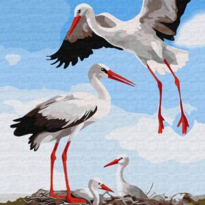 MALOWANIE PO NUMERACH 40X50 RODZINA BOCIANÓW (3)