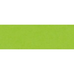 PAPIER TECHNICZNY A1 170g BRYSTOL JASNOZIELONY