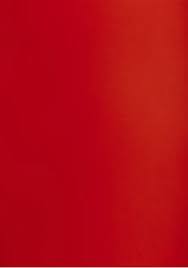 PAPIER TECHNICZNY A3 170g BRYSTOL CHAMOIS