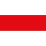 PAPIER TECHNICZNY A1 170g BRYSTOL POMIDOROWY