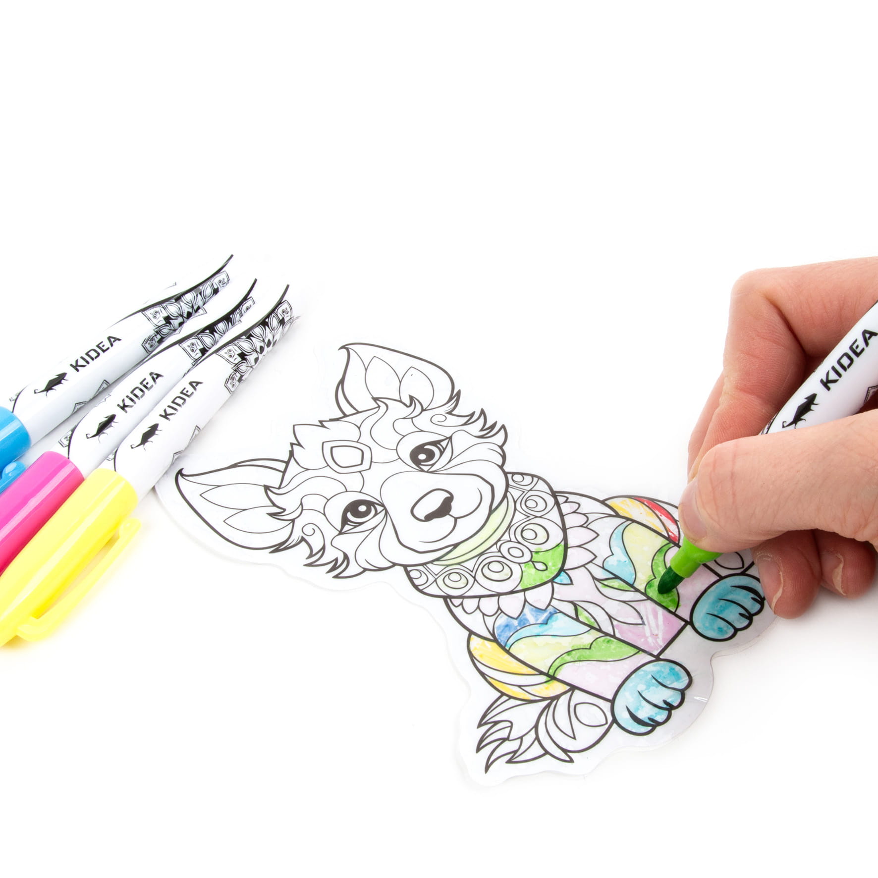 WITRAZE W PISAKU MISIE KIDEA - obrazek 2