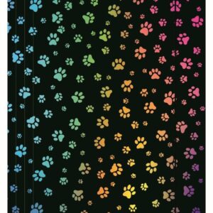 TECZKA KARTONOWA Z GUMKĄ, MIAOW CZARNA, 24X31CM