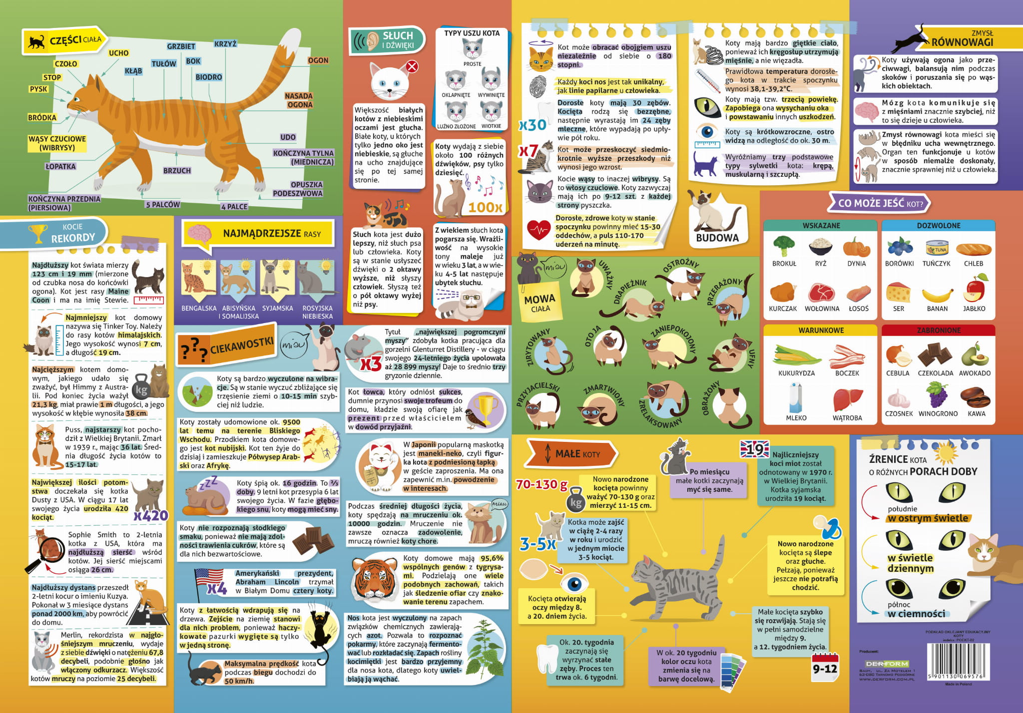 PODKŁAD OKLEJANY EDUKACYJNY KOTY - obrazek 2