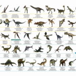 PODKŁAD OKLEJANY EDUKACYJNY DINOZAURY