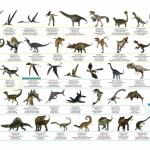 PODKŁAD OKLEJANY EDUKACYJNY DINOZAURY